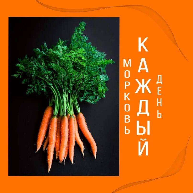 Самый распространенный овощ. Самый распространенный овощ в мире. самый распространенный овощ на земле это. ты такая как морковка.