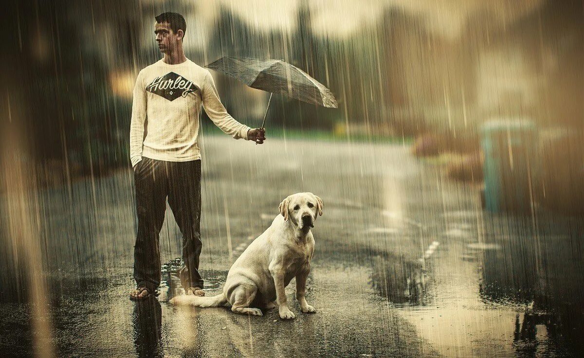 День прогулокплд дождем. Высказывания о чести и достоинстве человека. Мир полон добрых людей. Добрые дела. Андрей селиверстов фотограф.