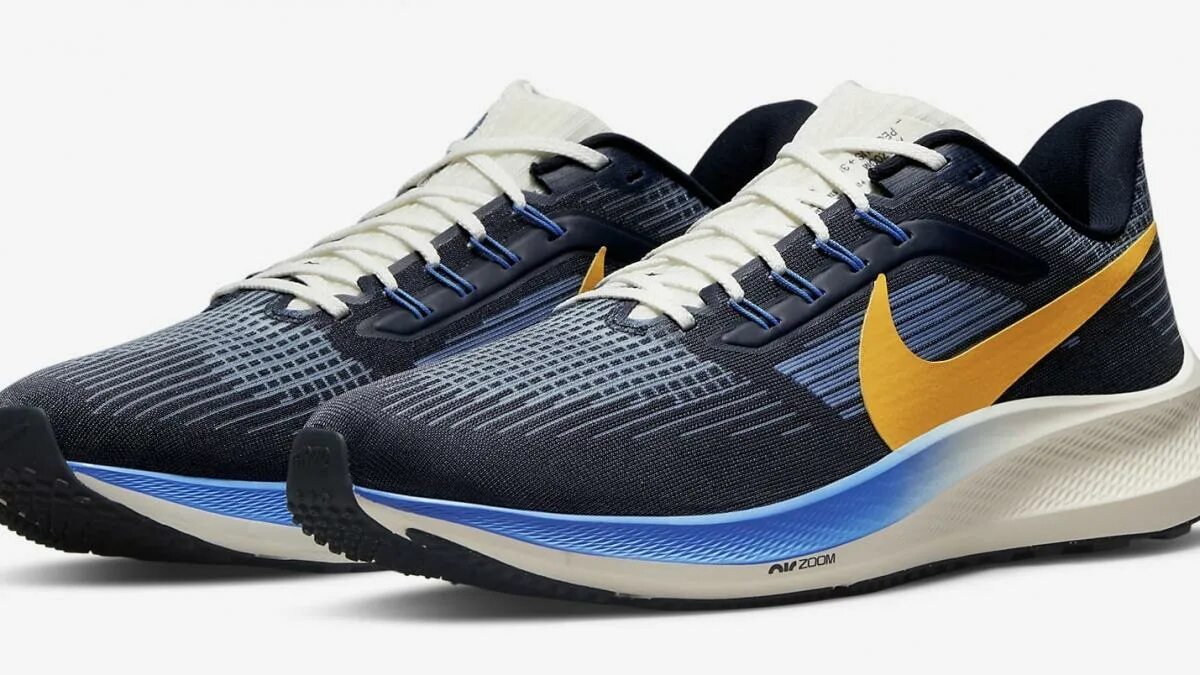 Найк Пегасус 39. Nike Pegasus 39. Nike Pegasus 39 a.i.r. Hola Lou. Кроссовки pegasus 39