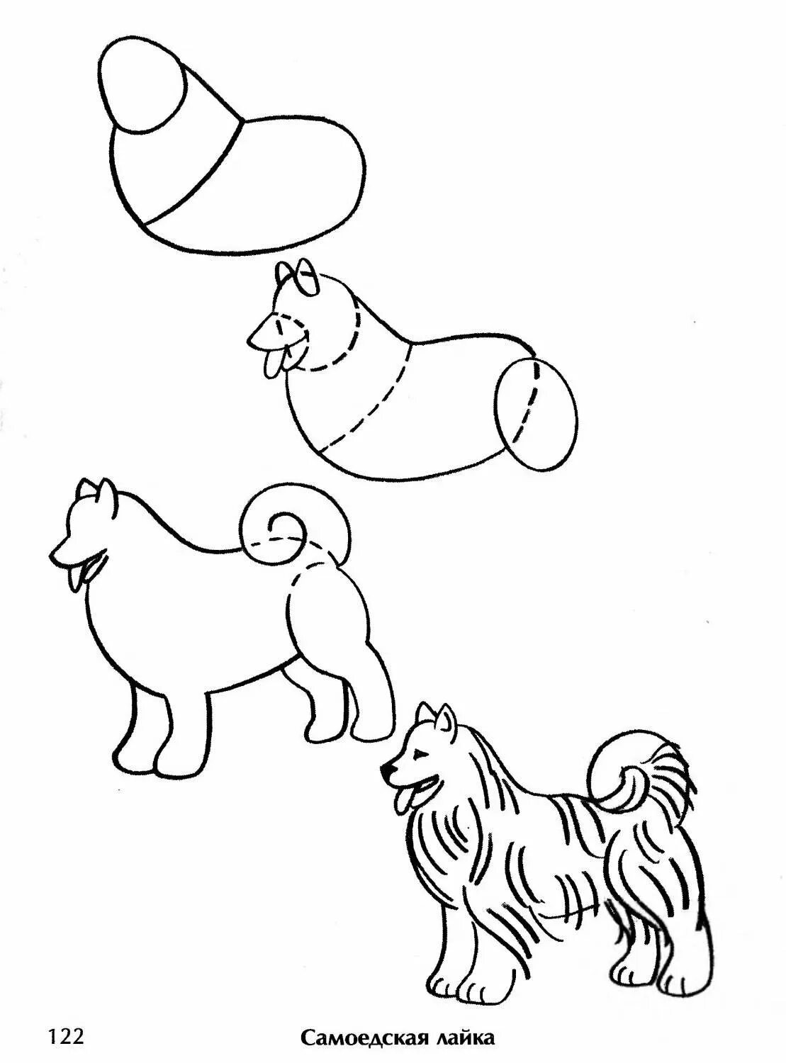 Собака для рисования для детей. Схема рисования собаки для дошкольников. Собака рисунок карандашом для детей легкие. Собака рисунок для детей легкий. Рисуем собаку с детьми