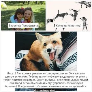 Какое ты животное quiz