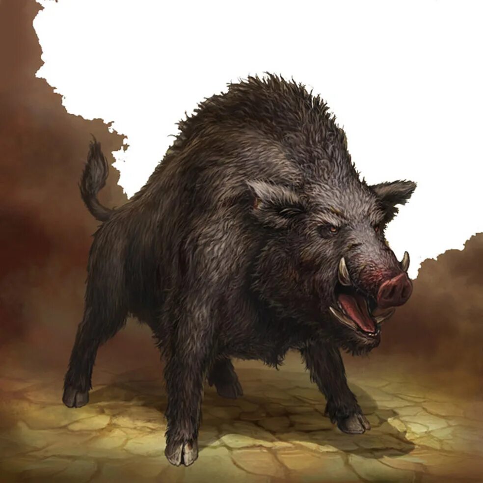 дикий кабан секач. сильный кабан. дикий кабан секач. сильный кабан. дикий кабан шотландия.