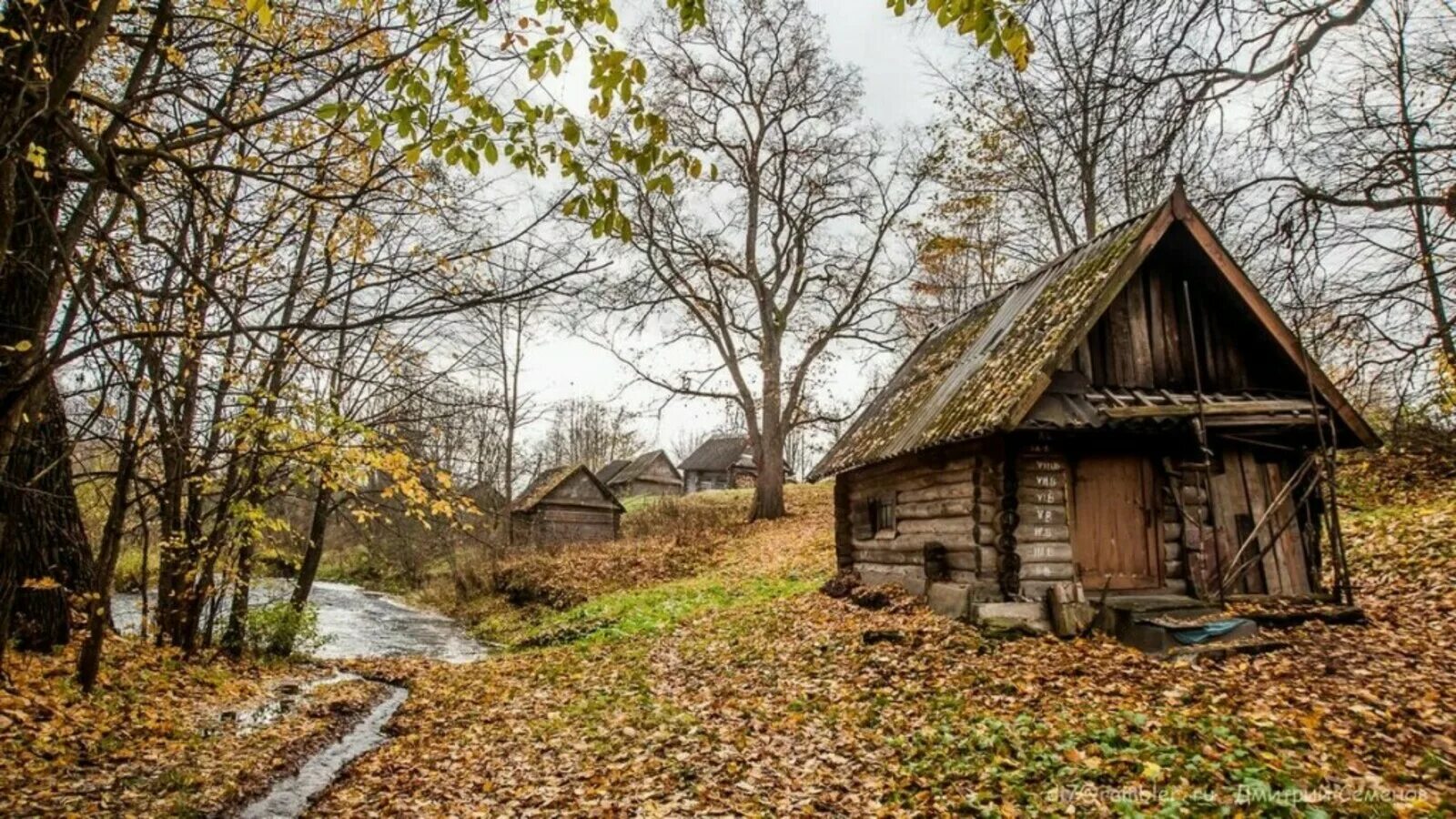 Домик на окраине текст. Старый домик. Домик на окраине леса. Осень в деревне. Домик в деревне.