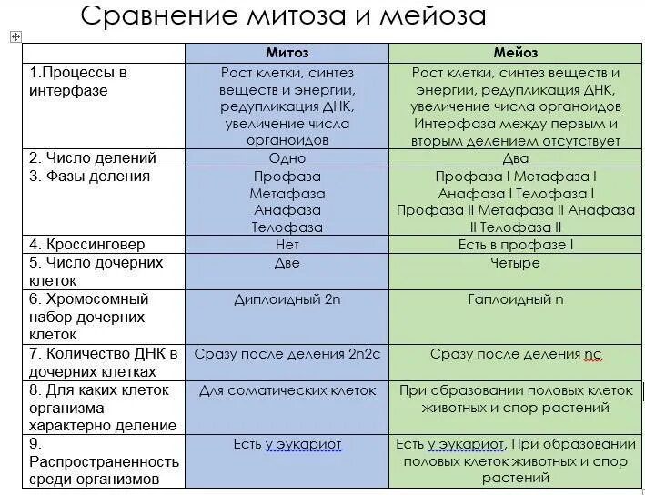 Субъекты различия и сходства. Параметры сравнения митоза и мейоза. Митоз и мейоз таблица сравнения сходства и отличия. Сравнительная характеристика митоза и мейоза. Различия митоза и мейоза таблица 10 класс.