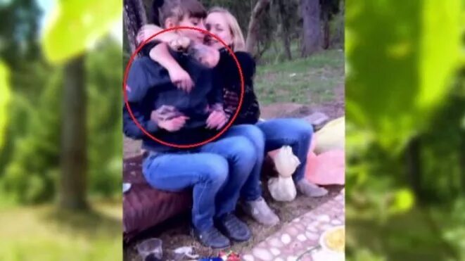 Деревня после экстрасенсов. Битва экстрасенсов призраки в лесу. битва экстрасенсов 15.10.2025. битва экстрасенсов в вербилках.