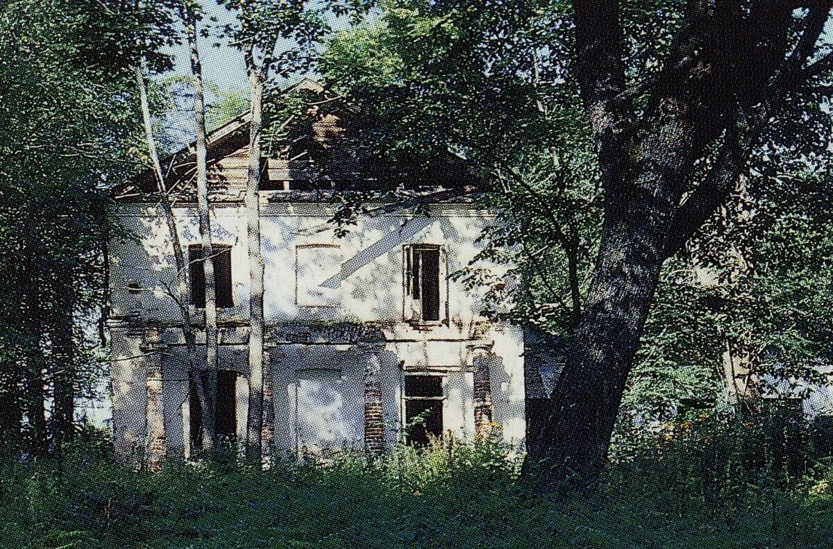 Усадьба бакуниных тверская область кувшиновский. Усадьба прямухино тверская область. Усадьба бакуниных тверская область. Усадьба прямухино тверская область. Усадьба прямухино.