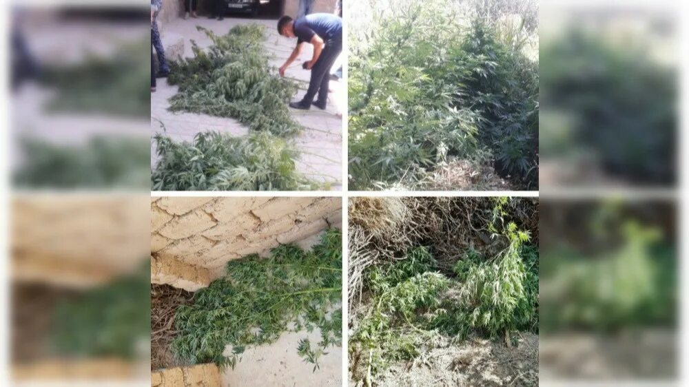 Янгикургон шаршара. Туристы в самарканде. Самарканд пахтачи. Samarqand viloyati kattaqo'rg'on tumani. Самарканд город в узбекистане.