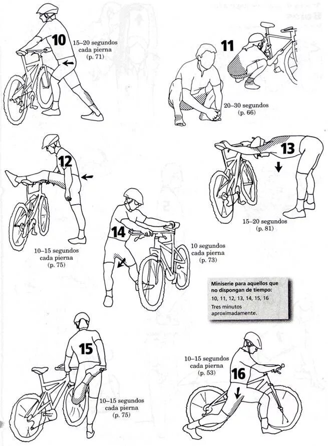 Велосипед какие мышцы работают у женщин. Тренировка на велосипеде. Велосипедные упражнения. Велосипед группы мышц. Мышцы задействованные при езде на велосипеде.