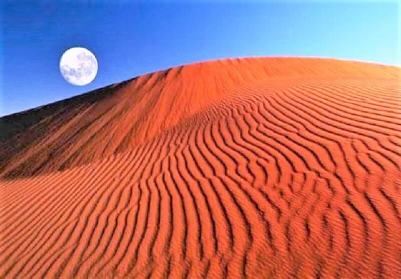 Самые большие 10 пустыни в мире. Ботсвана пустыня Калахари. Южная Африка Калахари. Впадина Калахари. Калахари биом пустыни.