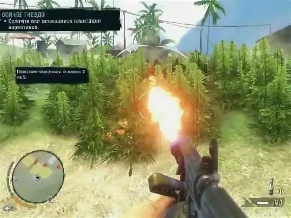 Far cry тайник осиное гнездо. Far cry 3 осиное гнездо. Миссия осиное гнездо far cry 3. Осиное гнездо фар. Осиное гнездо фар.