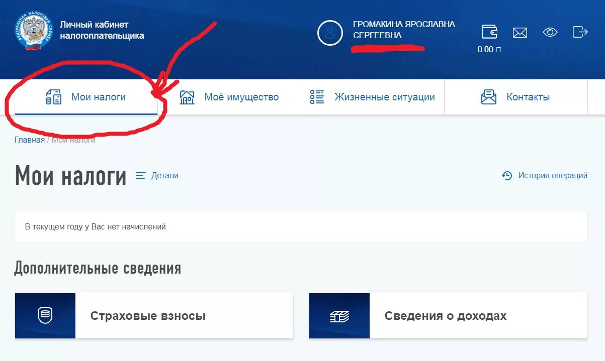 Налоги через сайт госуслуг. Налоги в госуслугах. Где найти доходы в госуслугах. Где найти налоги на госуслугах. Оплата налога через госуслуги.