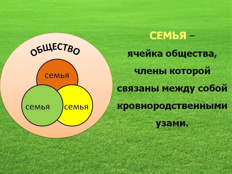Семья единица общества. Классный час семья в современном обществе. Семья и брак как социальные институты. Проект на тему семья. Фраза семья ячейка общества.