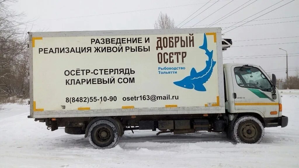 Рыбная ферма в красноярске на дубровинского. Живой рыба магазин рядом. Вывеска живая рыба. Магазин живой рыбы рядом со мной. Живая рыба в магазине.