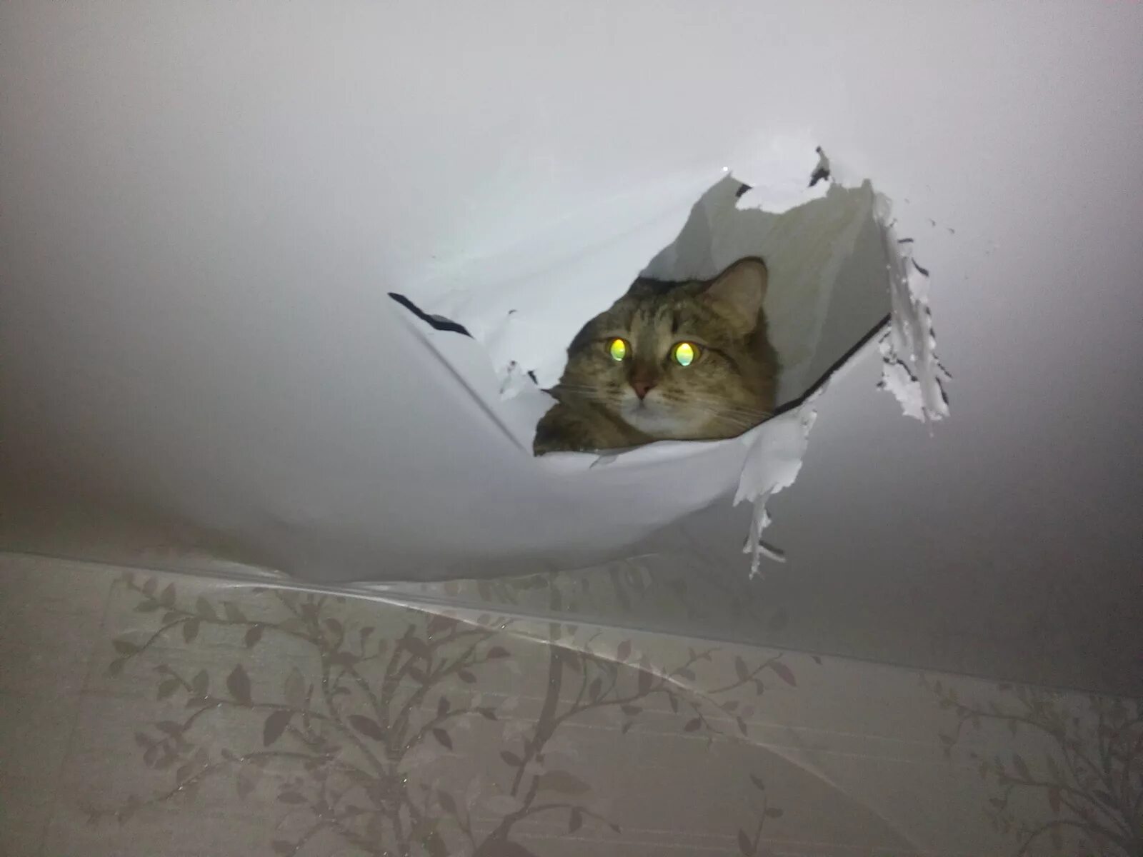 Как починить кошку