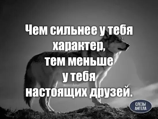 Афоризмы про сложный характер. Цитаты про характер. У меня сложный характер. Статусы про характер. Стараться можно меньше