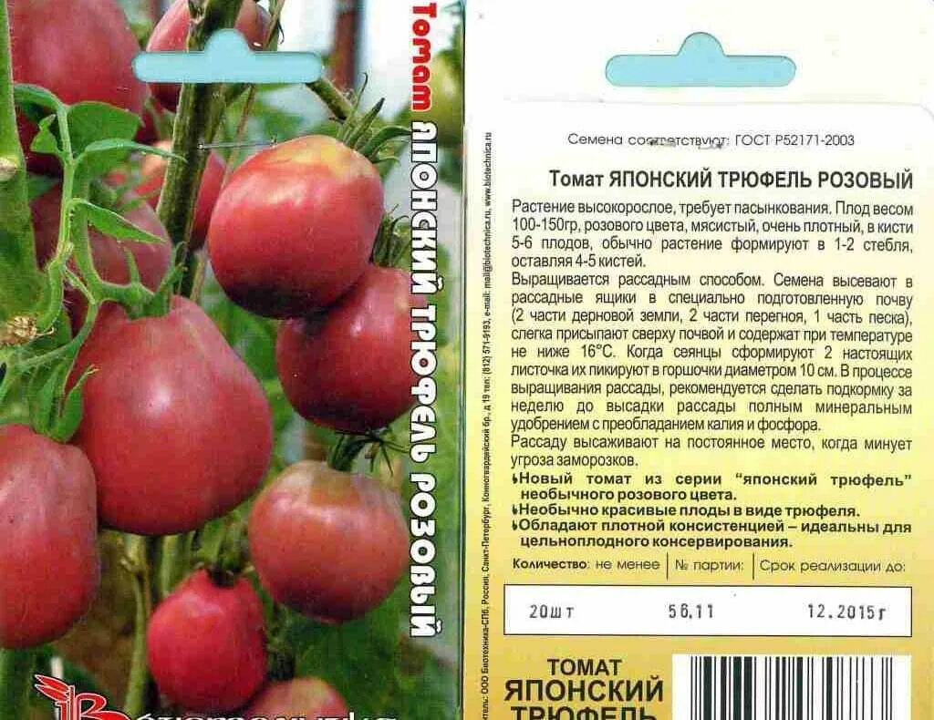 Томат японка описание урожайность. Томат японский трюфель красный. Помидоры японский трюфель красный описание сорта. Сорт помидор японский трюфель. Японский трюфель томат описание.