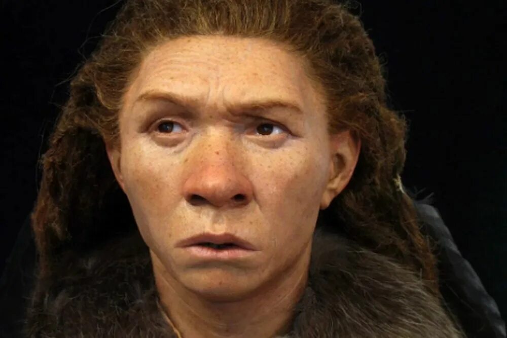 Неандерталец (homo Neanderthalensis). Латынина неандерталец. Хомо сапиенс Денисовский человек неандерталец. Неандертальцы и кроманьонцы реконструкция. Человек живет 1000 лет