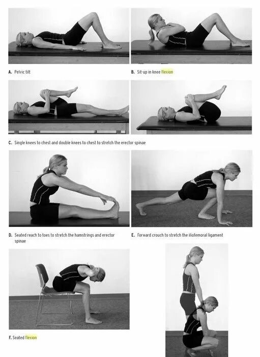Williams exercises. Уильямс упражнения для спины. лфк back pain exercises. instability training что это. will exercises.