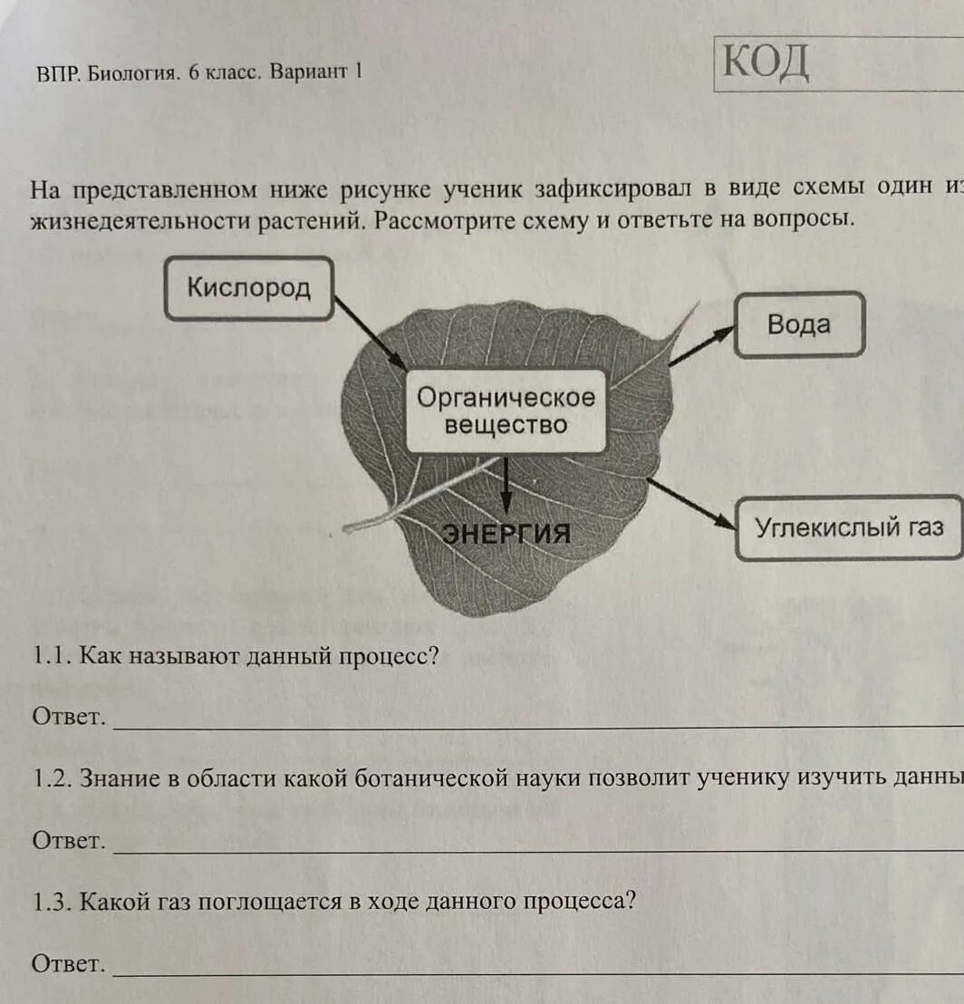 Впр биология 8 концентрическая программа 2024 год. Схемы процессов жизнедеятельности растений ученик зафиксировал. Рассмотрите схему и ответьте на вопрос. Схемы 1 из процессов жизнедеятельности растений. Виде схемы один из процессов жизнедеятельности растений.