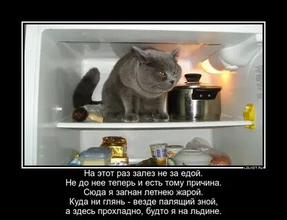 Куда не глянь