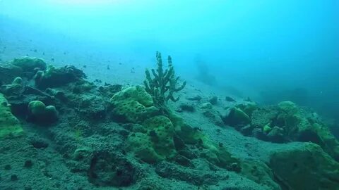 Озеро байкал под водой