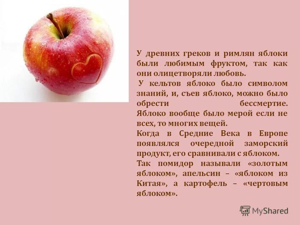 Текст про яблоко. Интересный рассказ про яблоню. Интересные факты о яблоне. Яблоко для презентации. Интересны сведения о яблони.