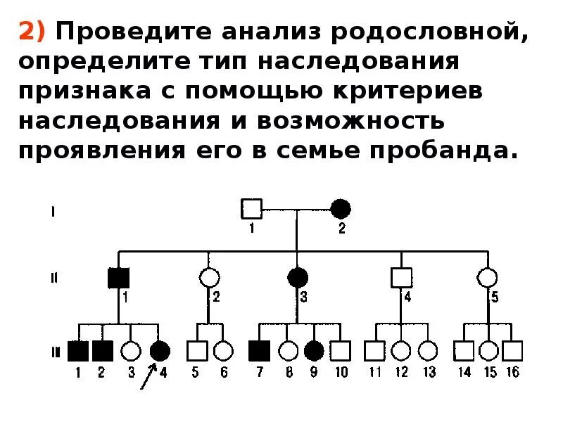 Генеалогический метод исследования используется. Анализ родословной тип наследования. генеалогический метод типы наследования. определите тип наследования по родословной. определите тип наследования признака по родословной.