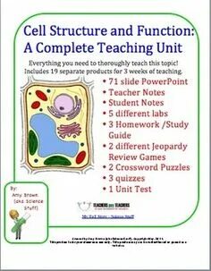Complete the structures