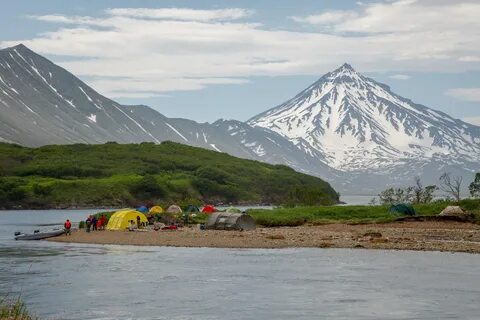 Камчатка рыбацкая