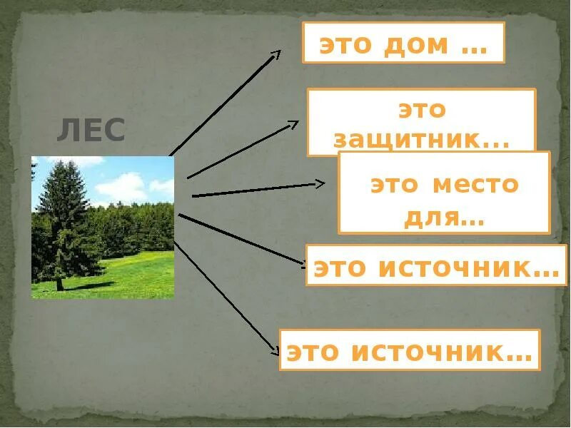 Тест лесные зоны россии. Лесная зона задания. Задания по теме природная зона лес. Зона лесов рабочий лист. Необычные задания по теме зона лесов.