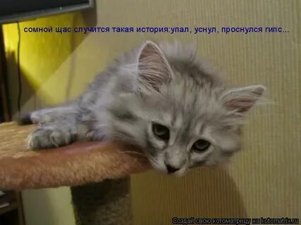 Знаешь что сейчас произошло
