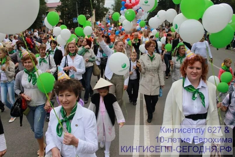 Город-кингисепп рф. Кктис кингисепп. Кингисепп сегодня работа. Кингисепп рф. Наш город кингисепп.