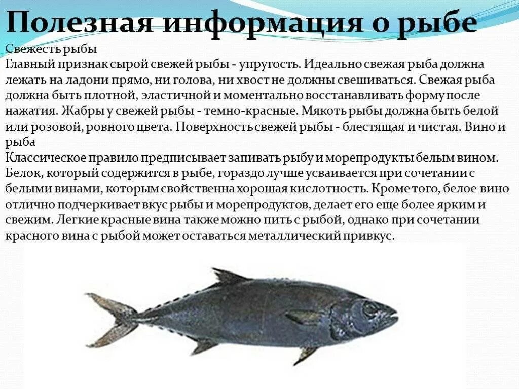 Какая должна быть рыба. Вредная рыба. Рыба бесценный источник кулинарных шедевров. Какая рыба вредная. Рыба хоки польза и вред.