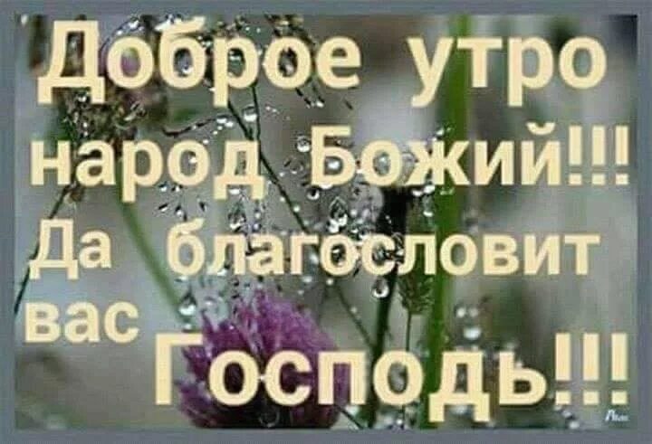 Доброе утро да благословит вас Господь. Благослови тебя Господь доброе утро. С добрым утром благословений от Господа. С добрым утром народ Божий.