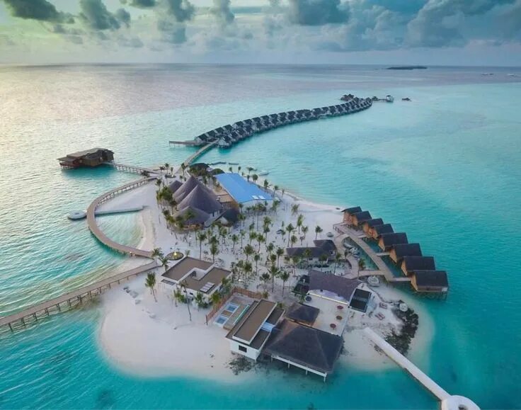 Озен мальдивы. Ozen reserve bolifushi мальдивы. Ozen life maldives. Amari havodda maldives 5. Ozen life maadhoo 5*.