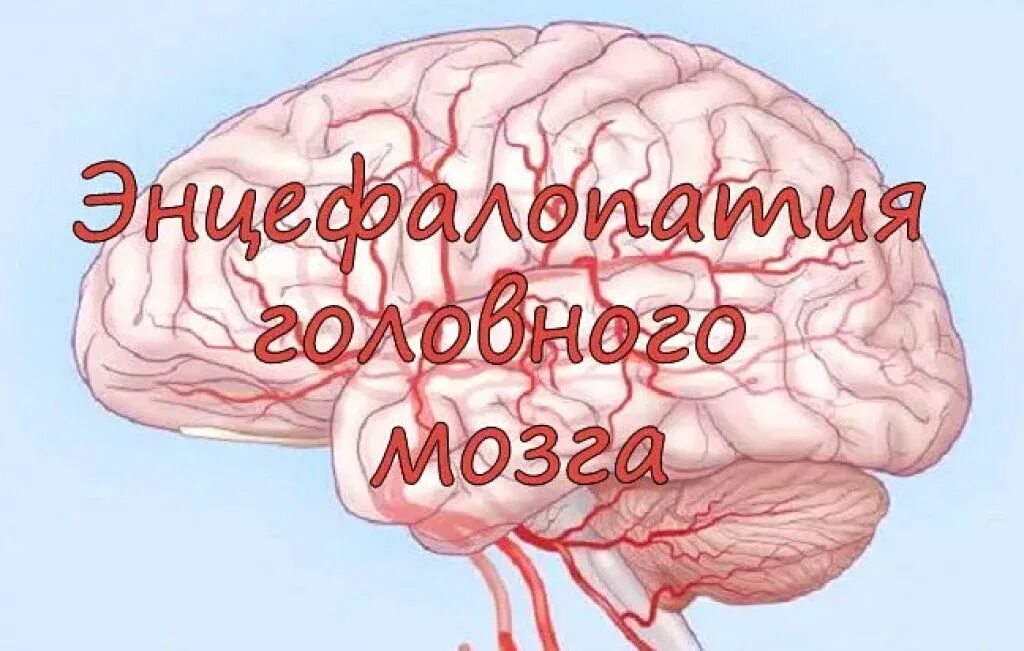 Мозг человека как лечить. Мозг человека как лечить. Таламус. Изучение мозга. Мозг и нервная система.