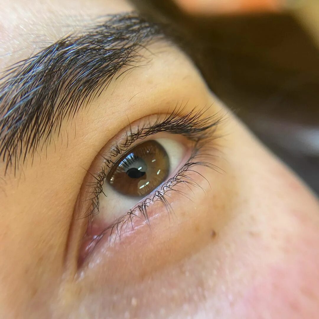 Shik ламинирование бровей. ламинирование и окрашивание бровей. ламинирование бровей. ламинирование броверь. ламинирование и окрашивание бровей.