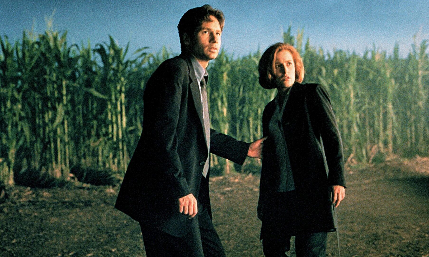 T me x files stealer африка