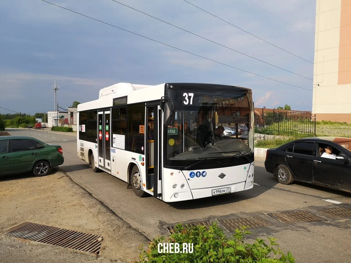 Автобус 82с пенза маршрут. Ближайший автобус 37. Автобус 82с пенза маршрут. Автобус 37 одинцово. Ближайший автобус 37.