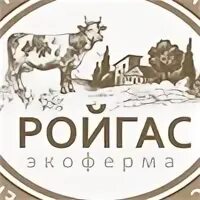 Ройгас шаховская