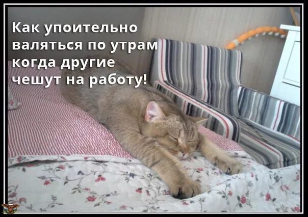 Встану утром побегу с друзьями. Отпуск спать. Когда другие чешут на работу прикольные картинки. Как хорошо валяться по утрам когда другие чешут на работу картинки. Валяться по утрам когда другие.