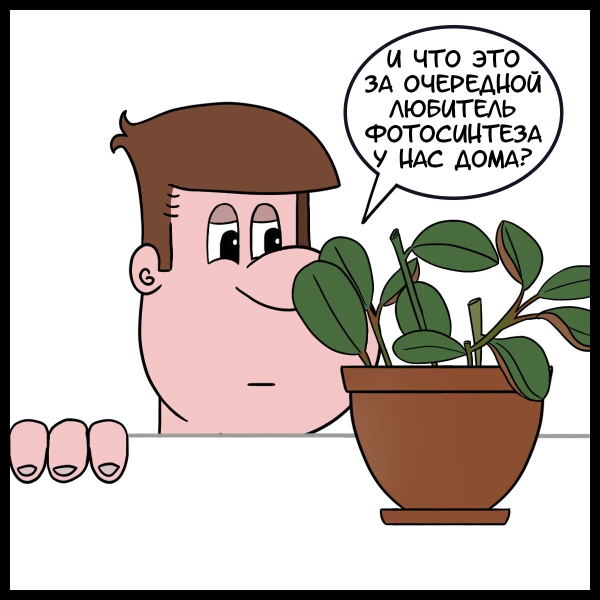 Комикс растения. Комиксы про растения. Комикс про цветы. Комикс с цветами. Смешной комикс с растениями.