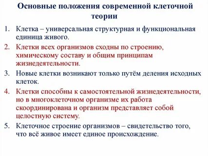 Согласно современной клеточной теории