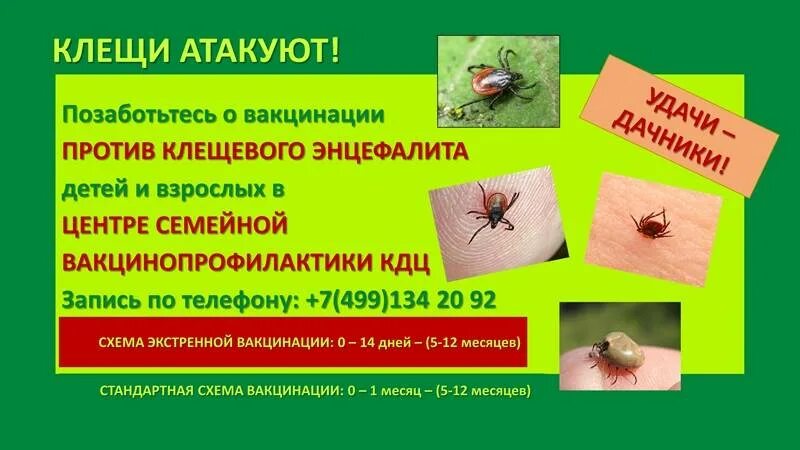 Где можно поставить прививку от клеща