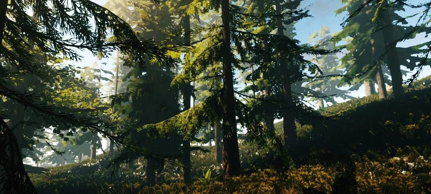 Forest server. The forest 2. th3 forest. лес из игры. лес 2д.