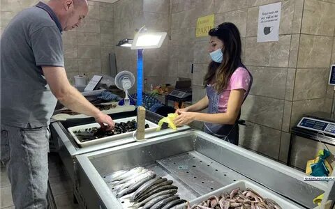 Ветеринарная керчь