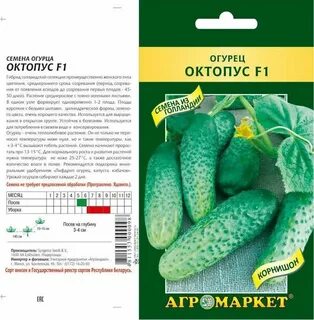 Огурцы портос описание сорта