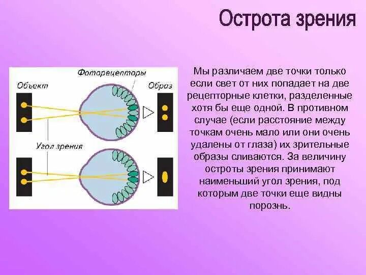 Точка зрения на объект