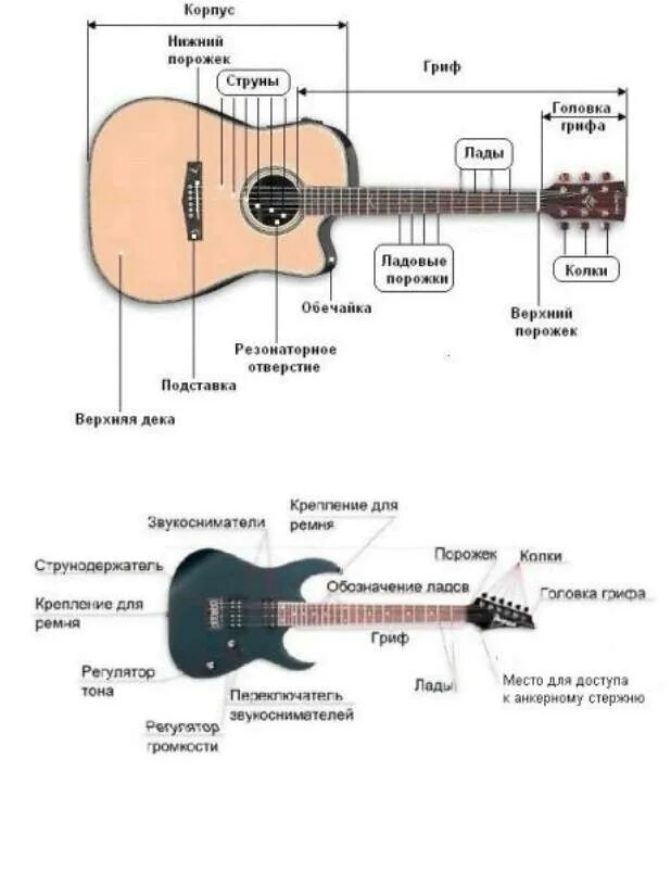 Классическая гитара и акустическая отличия. Отличие акустики от классики гитары. Чем отличается акустическая гитара от классической гитары. Чем акустика отличается от классической гитары. Отличие электрогитар