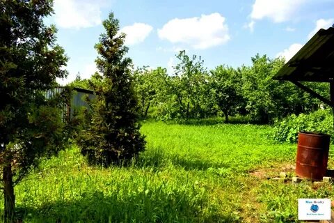 Снт нектар жабкино